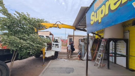 Servicio De Grua Y Renta De Plantas Kanapes